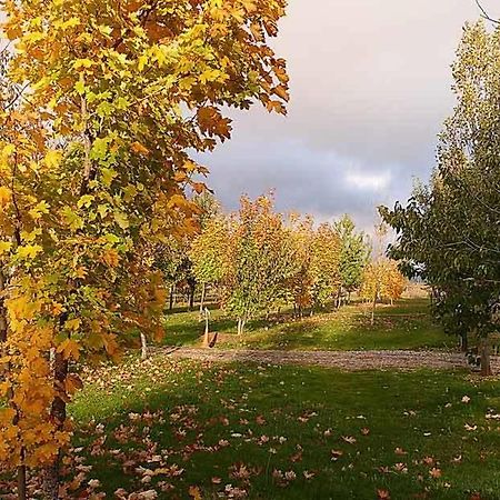 Camping Ain Jaca Kültér fotó