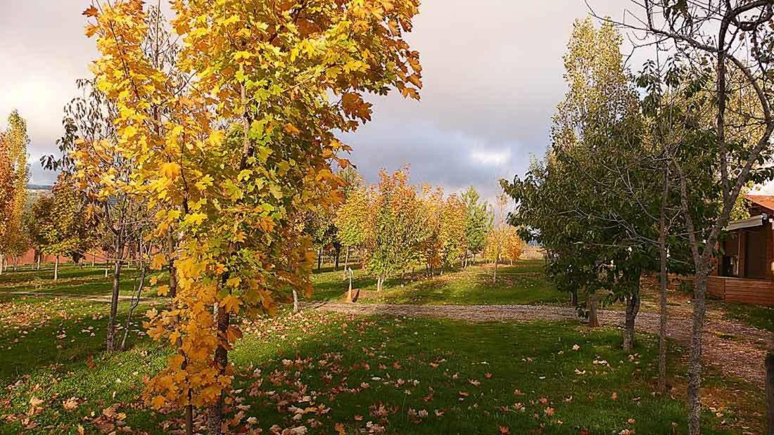 Camping Ain Jaca Kültér fotó