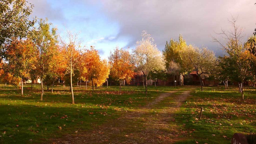 Camping Ain Jaca Kültér fotó